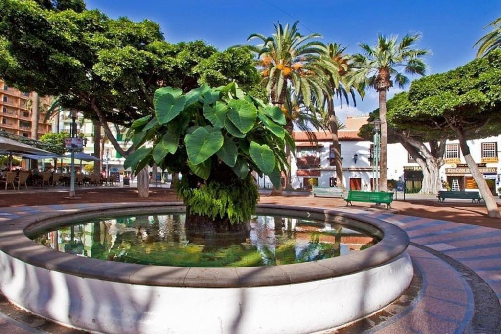 Centrico, Comodo Y Bello Apto En Puerto De La Cruz Luaran gambar